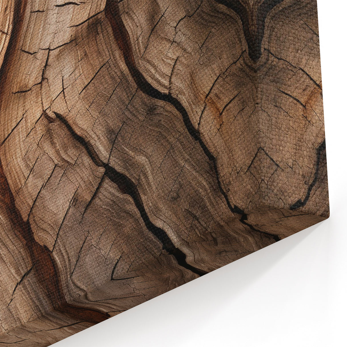 Cracked Tree Texture: Nature Wall Art for Elegant Home Interiors
