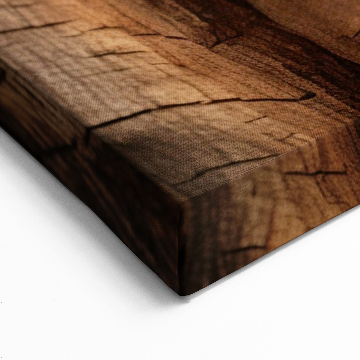Cracked Tree Texture: Nature Wall Art for Elegant Home Interiors
