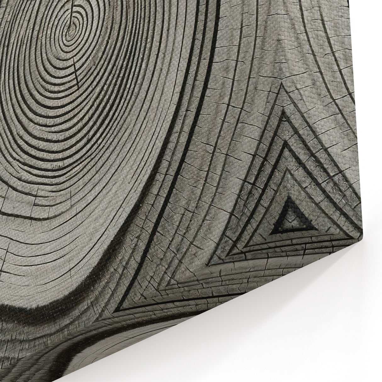 Monochrome Tree Rings: Elegant Tree Wall Art for Modern Homes