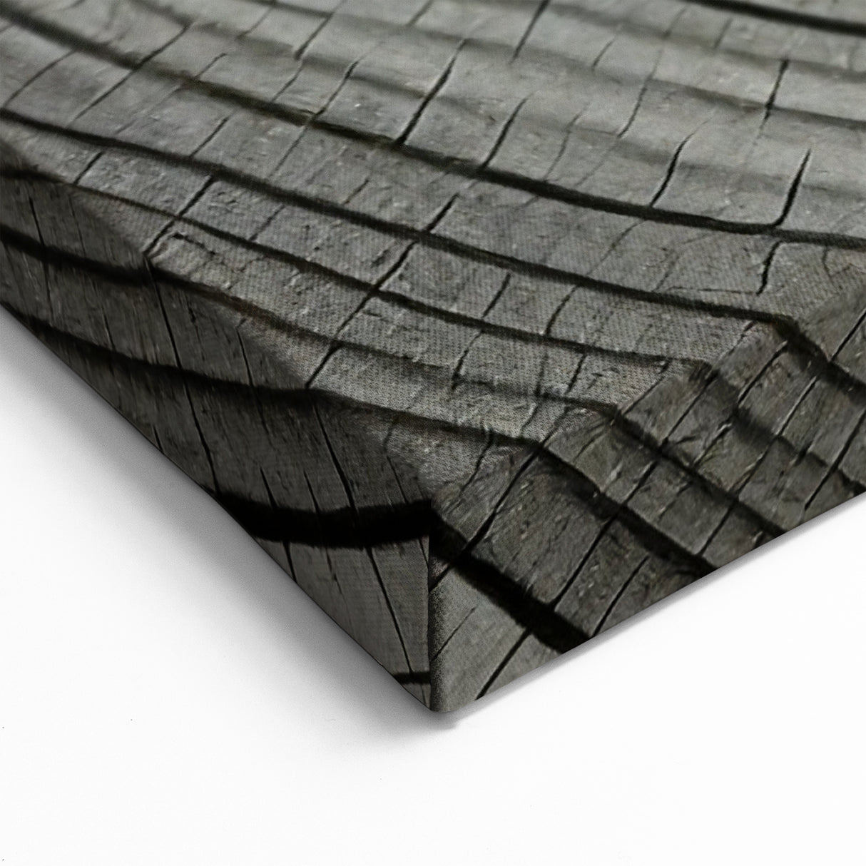 Monochrome Tree Rings: Elegant Tree Wall Art for Modern Homes