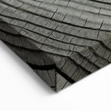 Monochrome Tree Rings: Elegant Tree Wall Art for Modern Homes