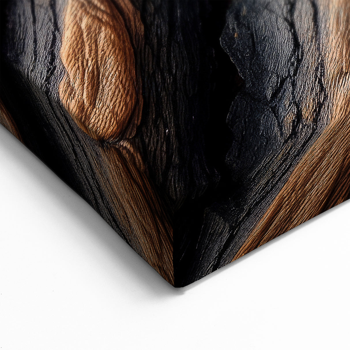 Textured Tree Bark: Nature Wall Art for Modern Rustic Decor