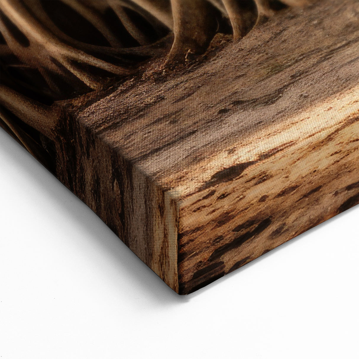 Majestic Banyan Roots: Nature-Inspired Tree Wall Art for Home Decor