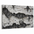 Birch Tree Bark: Modern Monochrome Tree Wall Art for Home Decor