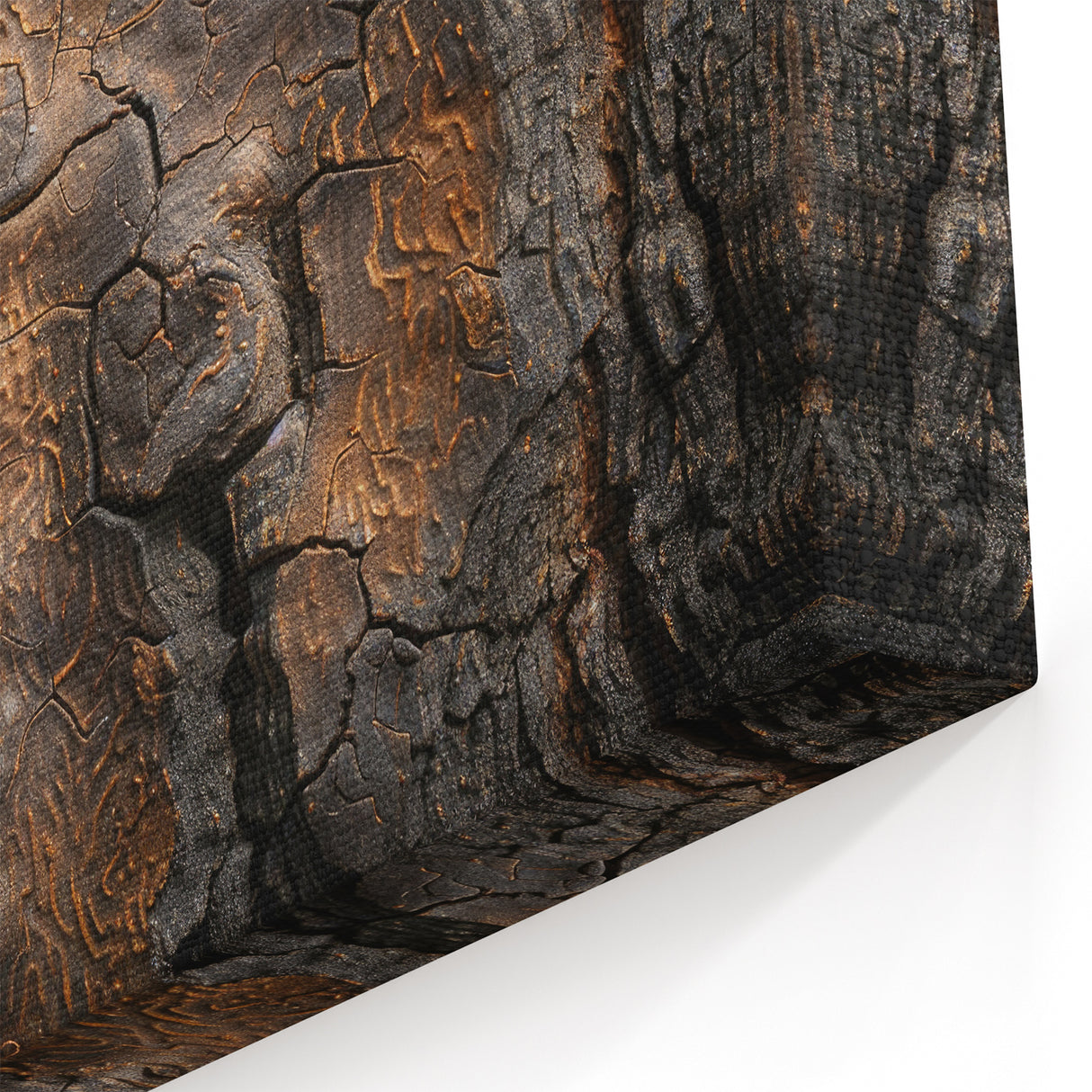 Burnt Tree Bark: Rustic Tree Wall Art for Nature-Inspired Interiors
