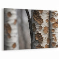 Peeling Birch Bark: Minimalist Tree Wall Art for Modern Home Decor