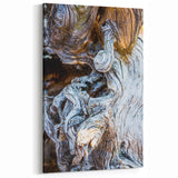 Twisted Tree Texture: Nature Wall Art for Rustic and Modern Interiors
