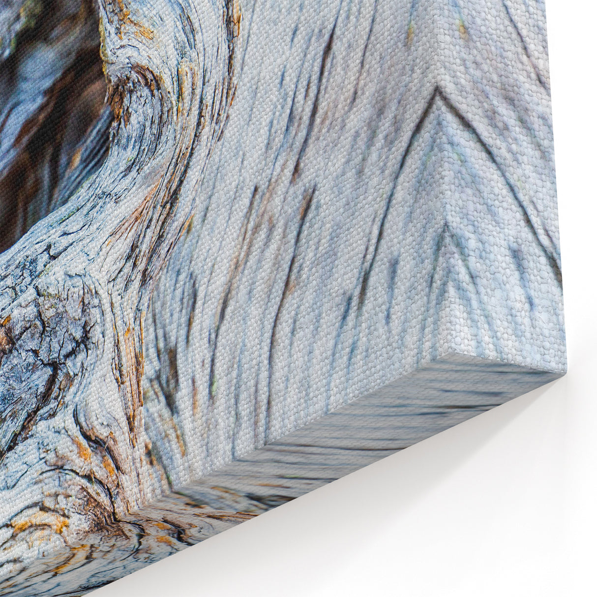 Twisted Tree Texture: Nature Wall Art for Rustic and Modern Interiors