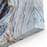 Twisted Tree Texture: Nature Wall Art for Rustic and Modern Interiors