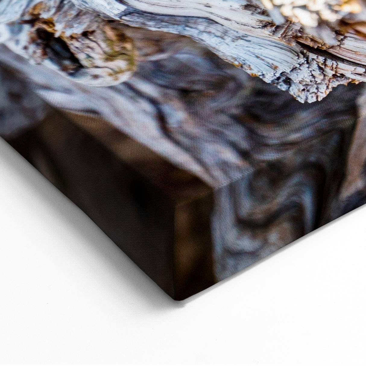 Twisted Tree Texture: Nature Wall Art for Rustic and Modern Interiors