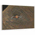 Animal Wall Art - Elephant Close-Up Wildlife Photography Canvas Print