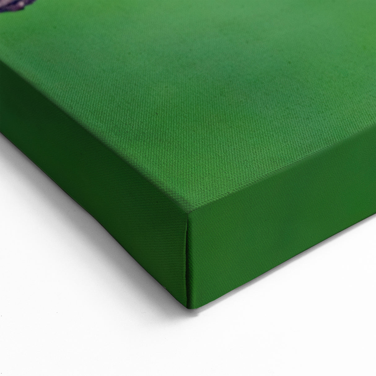 Nature Wall Art - Frog and Snail Wildlife Photography on Canvas Print