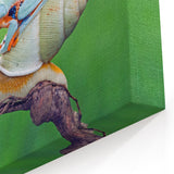 Nature Wall Art - Frog and Snail Wildlife Photography on Canvas Print