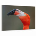 Bird Art Prints - Flamingo Close-Up Wildlife Photography Canvas Print