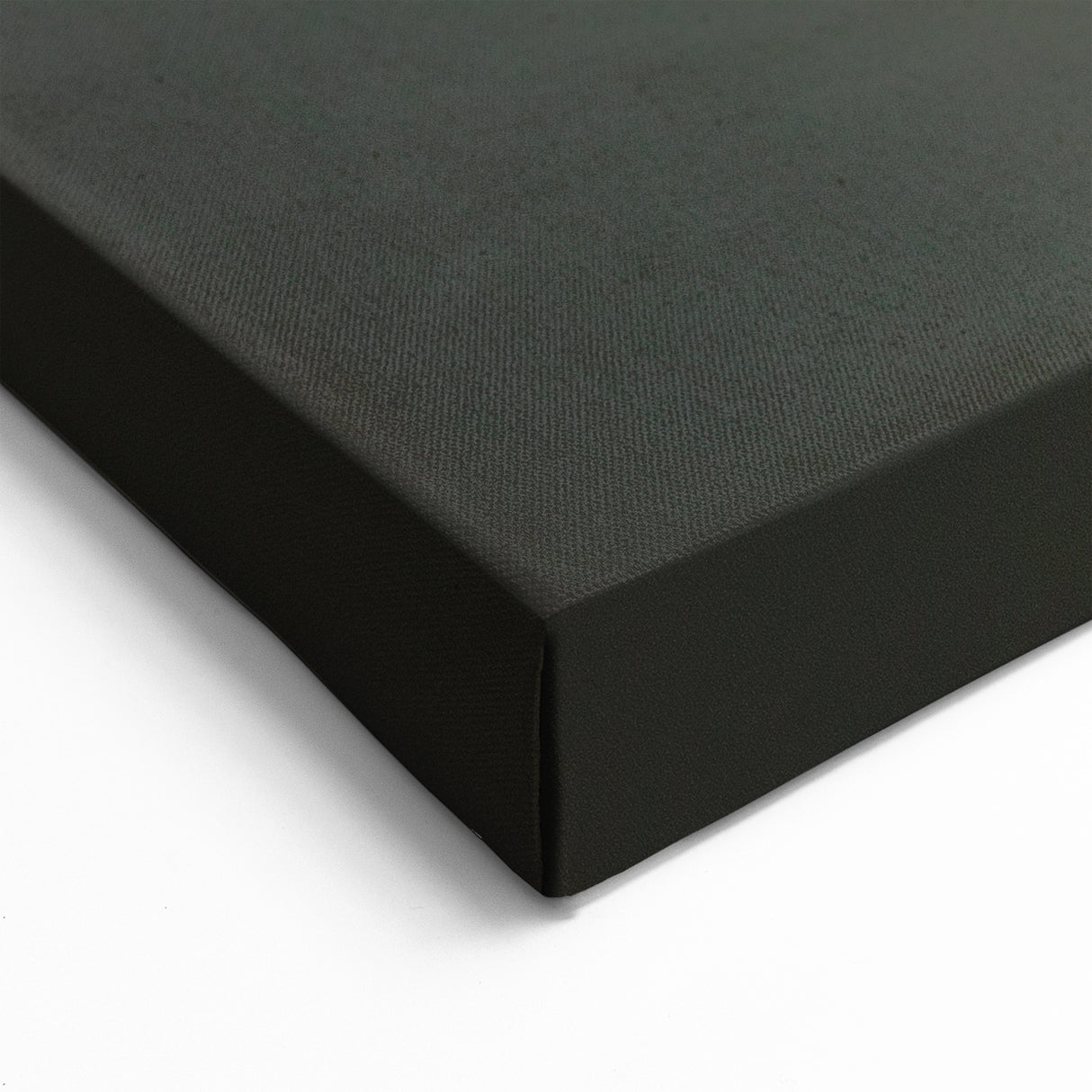 Bird Art Prints - Flamingo Close-Up Wildlife Photography Canvas Print