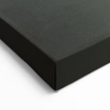 Bird Art Prints - Flamingo Close-Up Wildlife Photography Canvas Print