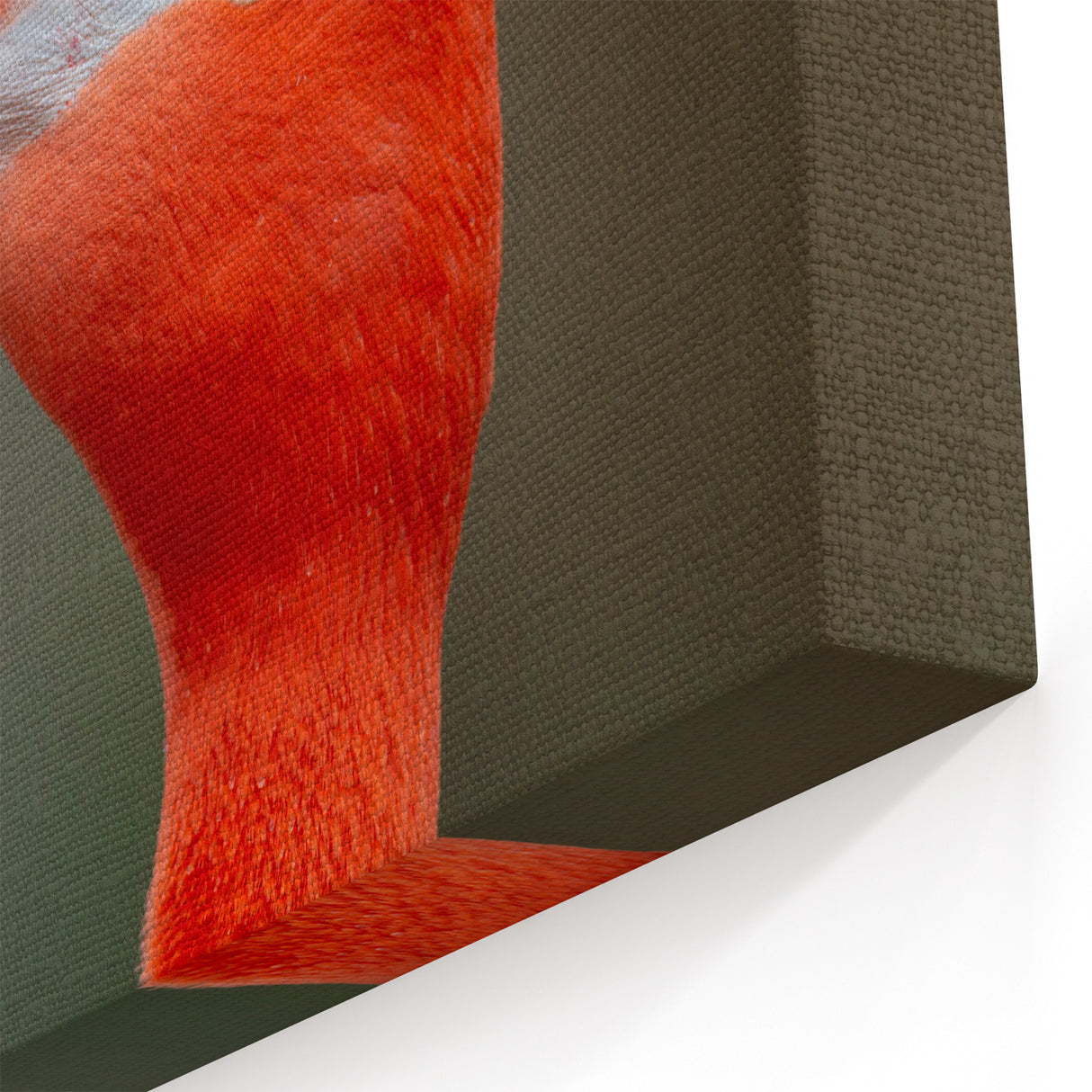 Bird Art Prints - Flamingo Close-Up Wildlife Photography Canvas Print