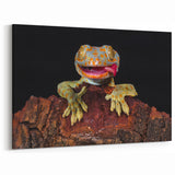 Animal Wall Art - Gecko Close-Up Wildlife Photography Canvas Print