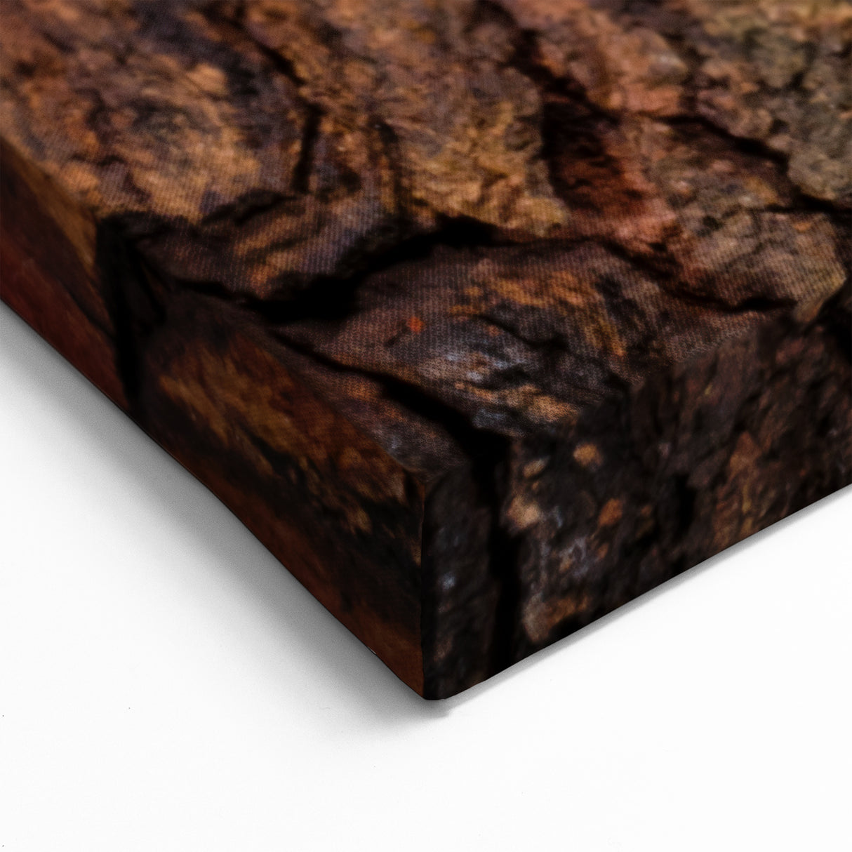 Animal Wall Art - Gecko Close-Up Wildlife Photography Canvas Print