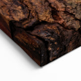 Animal Wall Art - Gecko Close-Up Wildlife Photography Canvas Print