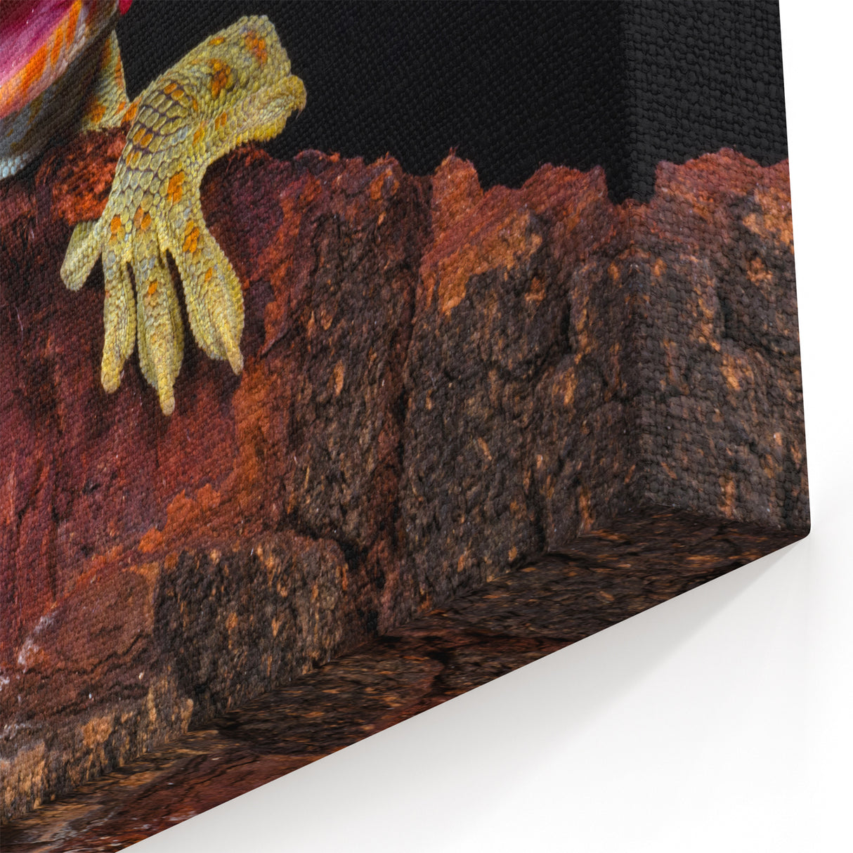 Animal Wall Art - Gecko Close-Up Wildlife Photography Canvas Print
