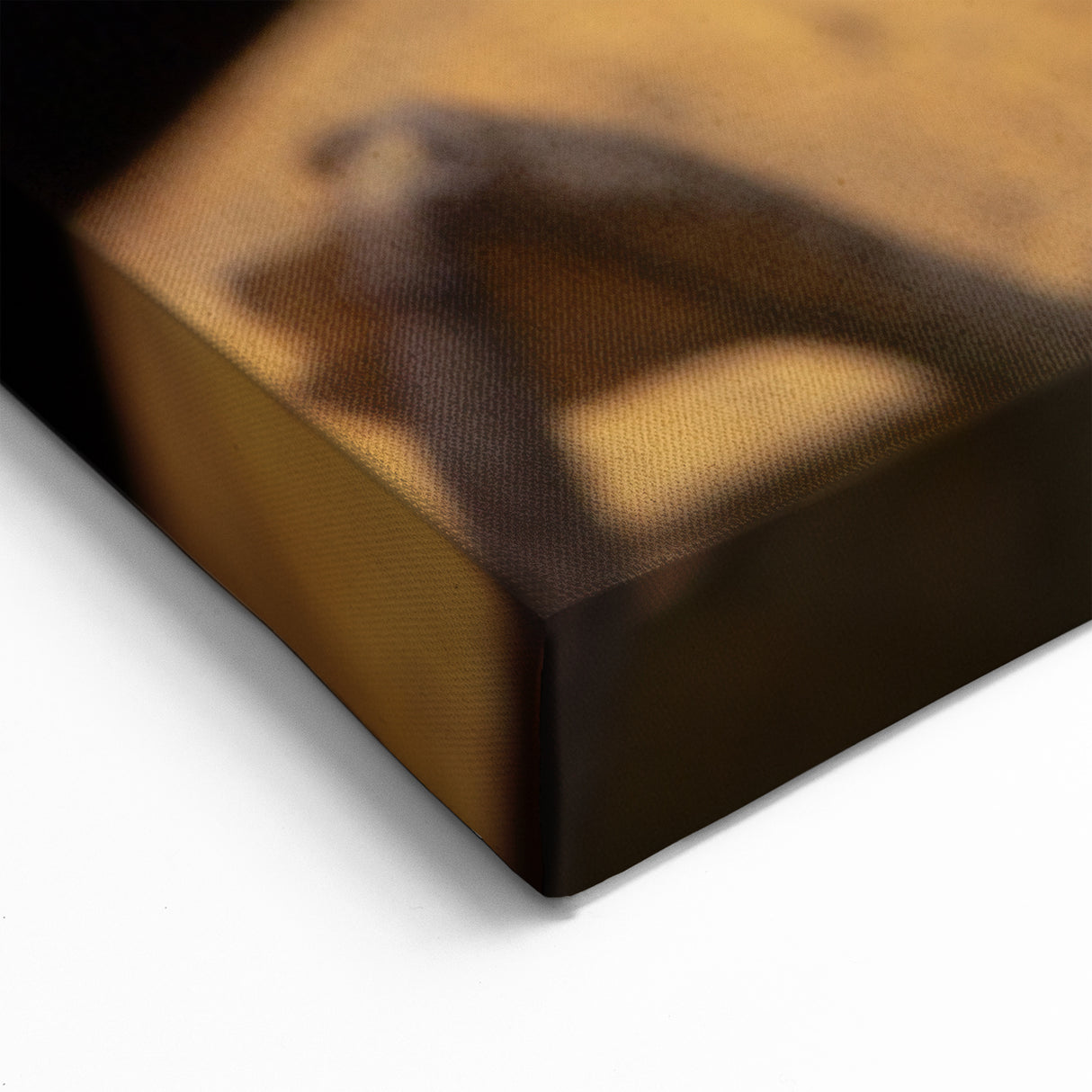 Animal Wall Art - Mantis Close-Up Nature Photography Canvas Print