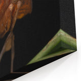 Animal Wall Art - Mantis Close-Up Nature Photography Canvas Print