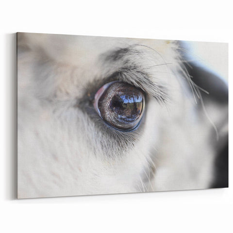 Animal Wall Art - Close-Up of Eye Wildlife Photography Canvas Print