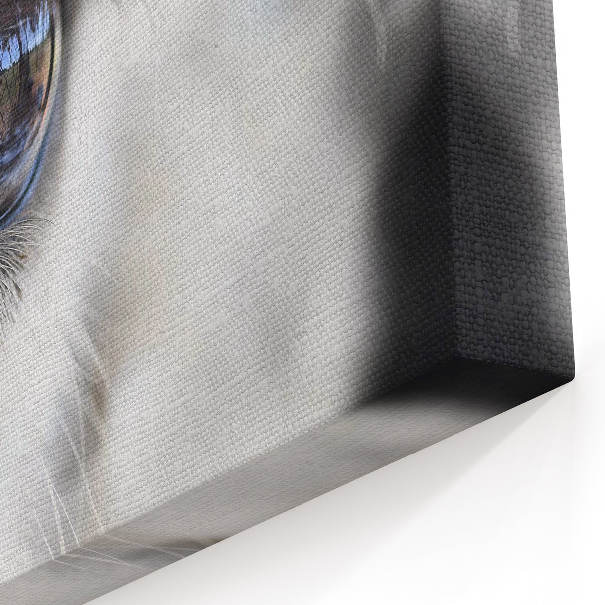 Animal Wall Art - Close-Up of Eye Wildlife Photography Canvas Print