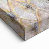 Nature Wall Art - Close-Up Fish Scale Texture Photography Canvas Print