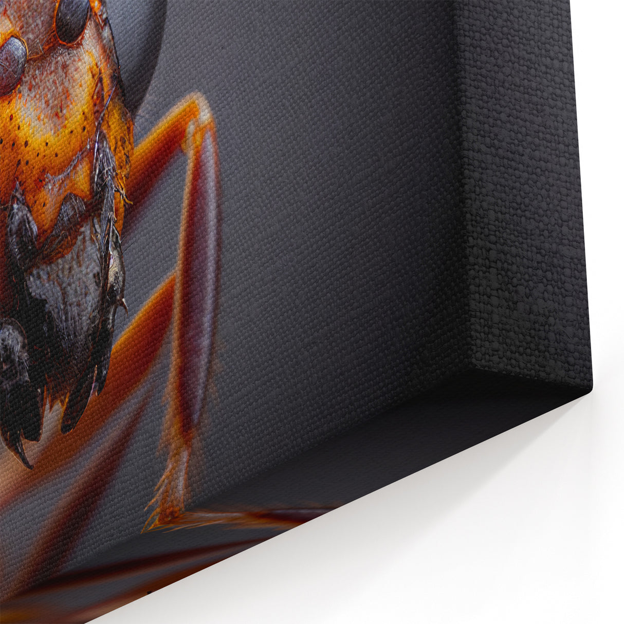 Animal Wall Art - Wasp Close-Up Macro Wildlife Photography Canvas Print