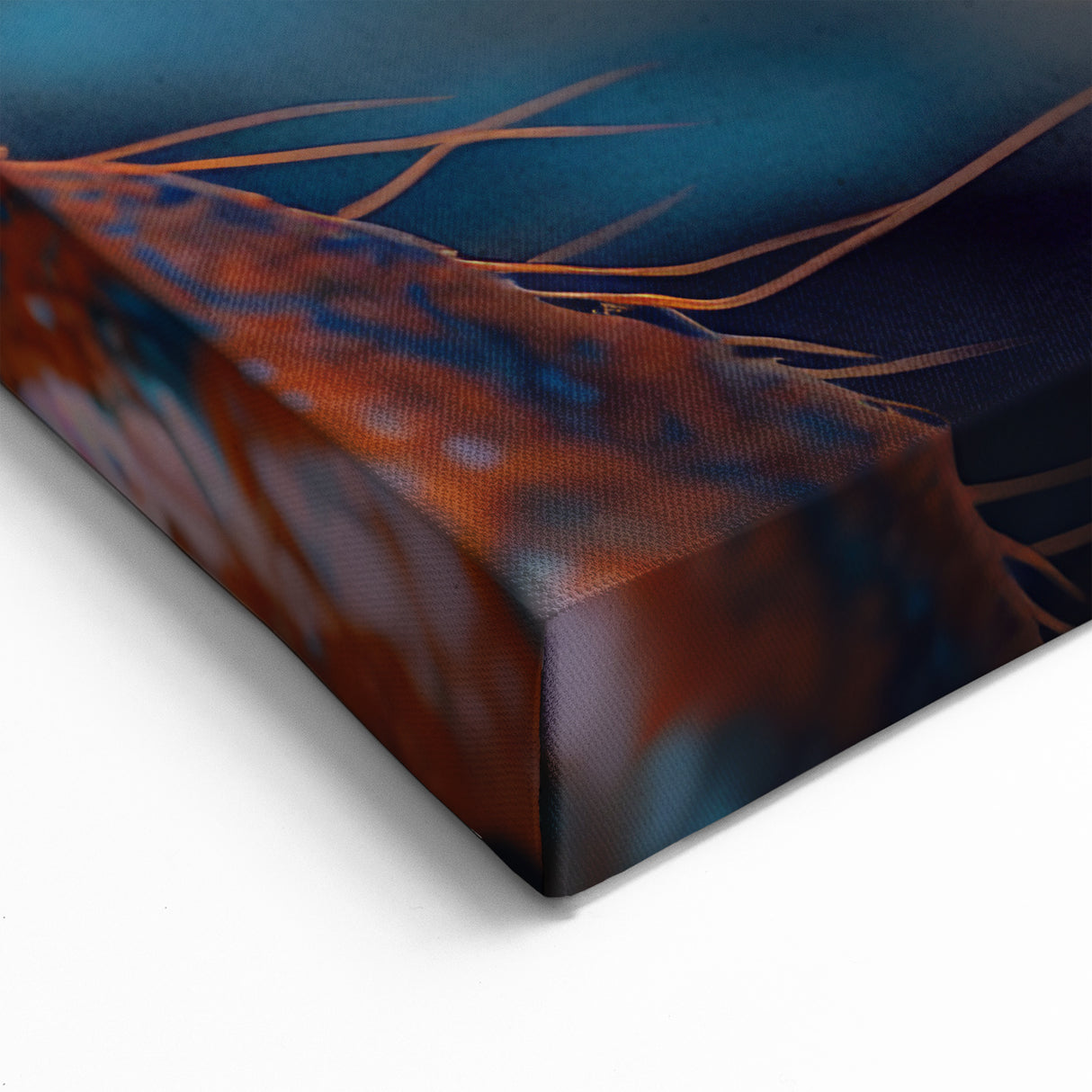 Animal Wall Art - Spider Macro Close-Up Nature Photography Canvas Print