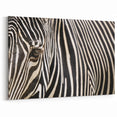 Animal Wall Art - Zebra Stripes Close-Up Wildlife Photography Canvas Print