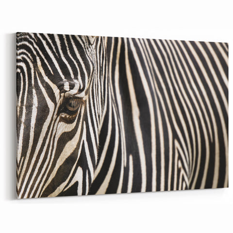 Animal Wall Art - Zebra Stripes Close-Up Wildlife Photography Canvas Print