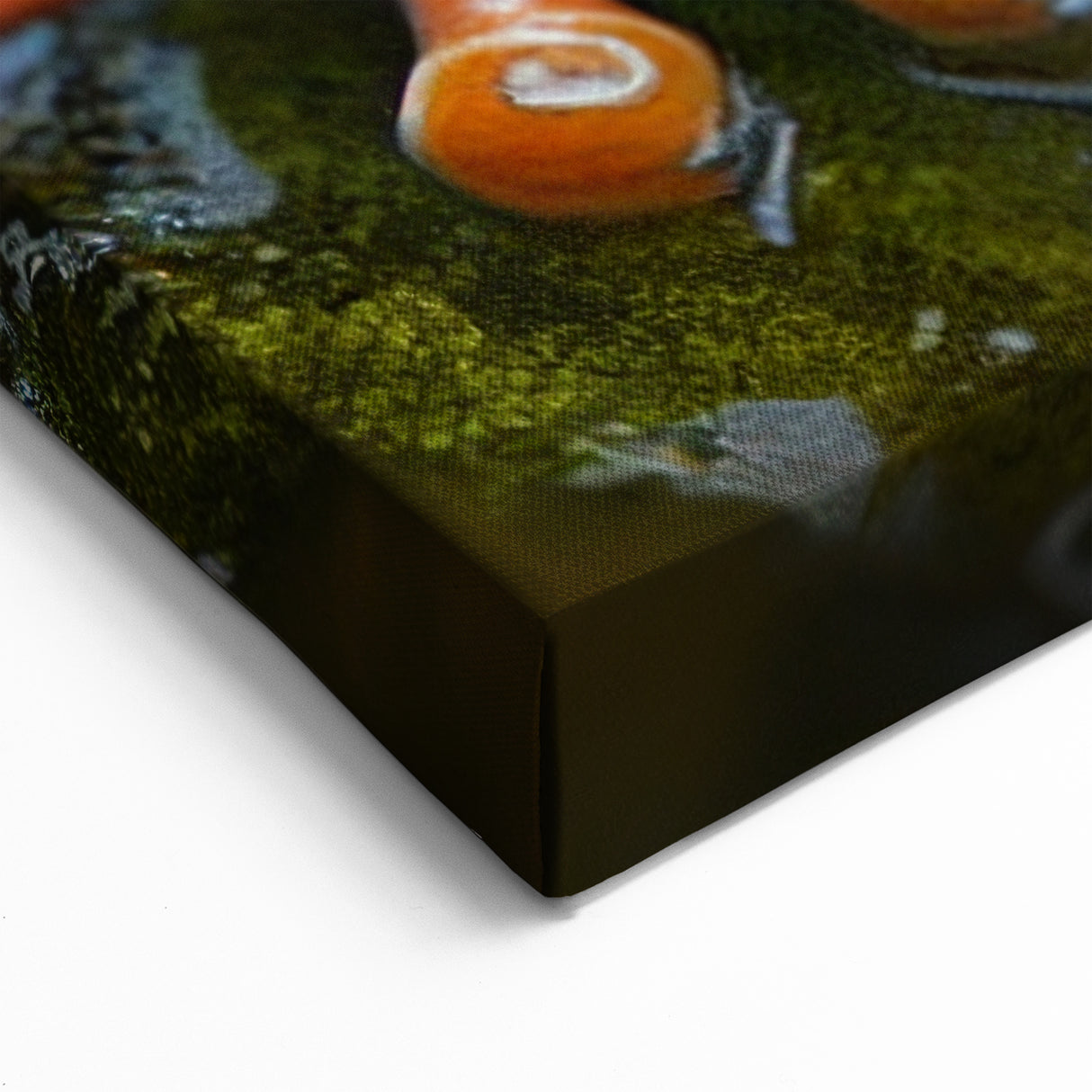 Animal Wall Art - Frog Close-Up Nature Photography Canvas Print