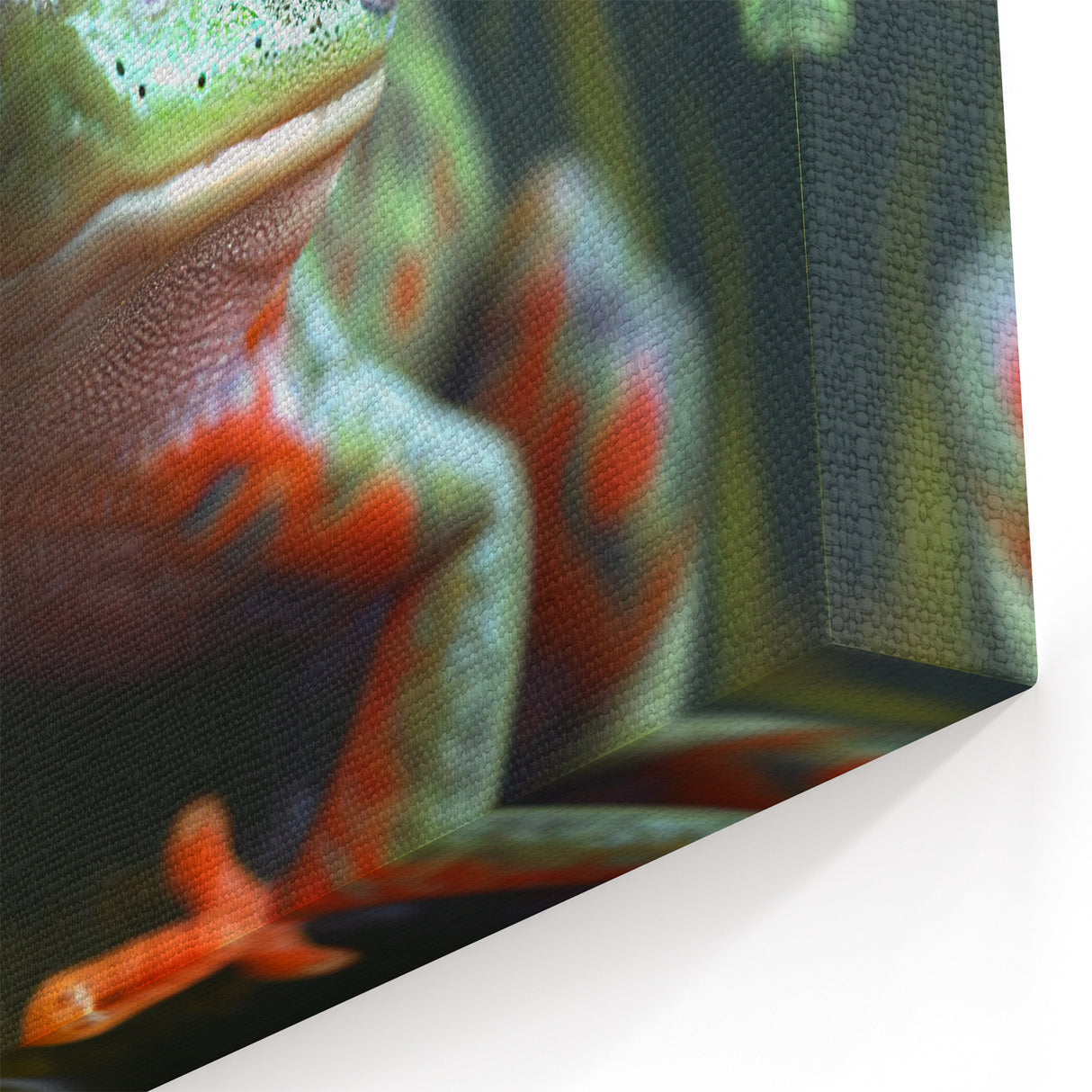 Animal Wall Art - Frog Close-Up Nature Photography Canvas Print