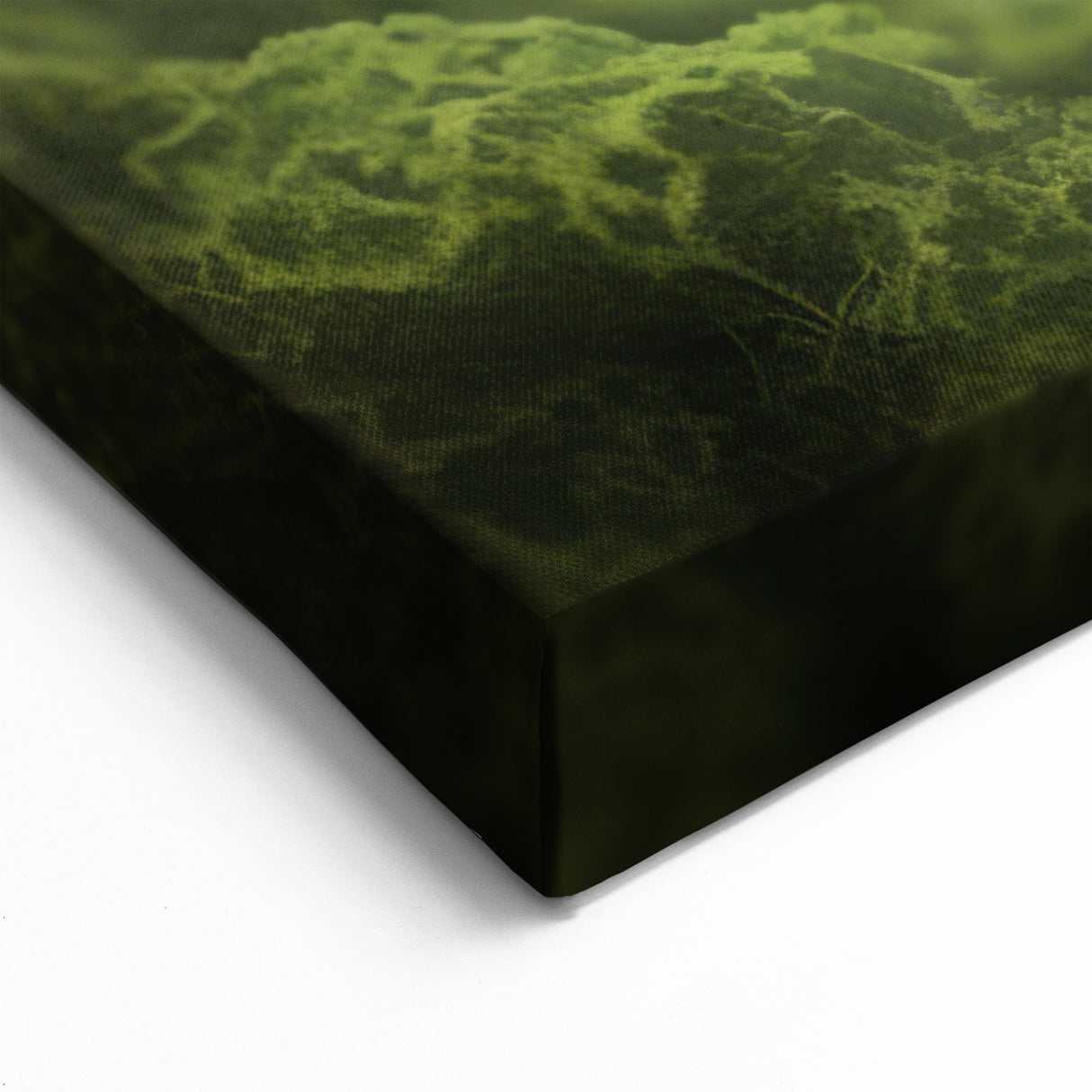 Animal Wall Art - Lizard Close-Up Vibrant Wildlife Photography Canvas Print