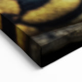 Animal Wall Art - Snake Eye Close-Up Nature Photography Canvas Print