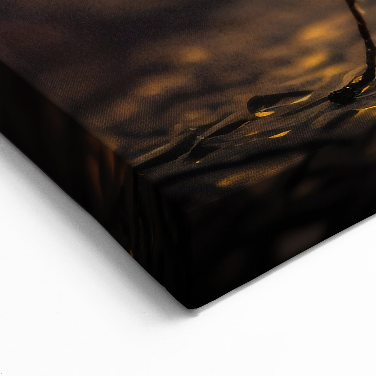 Animal Wall Art - Butterfly Close-Up Vibrant Nature Photography Canvas Print