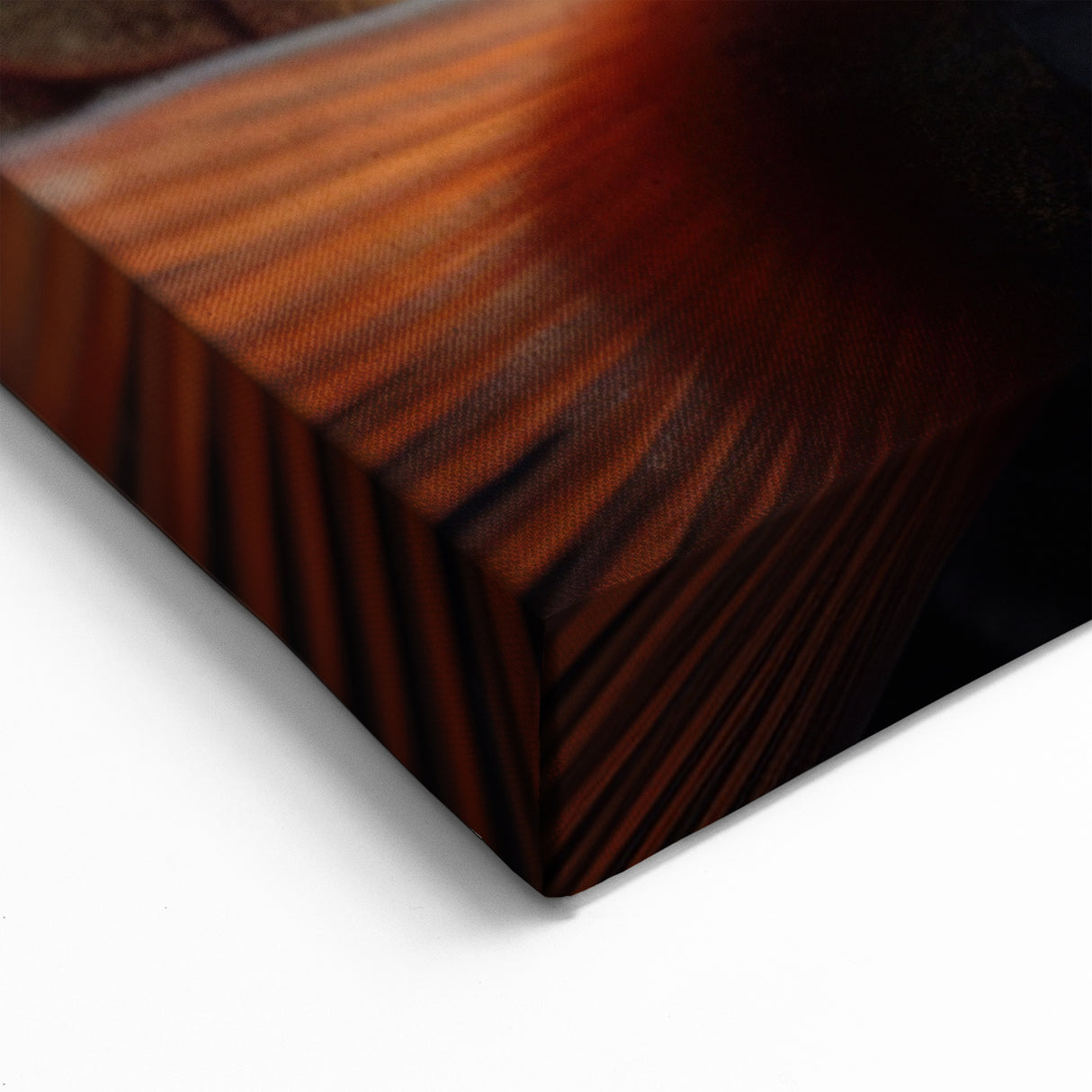 Close-Up Fish Animal Wall Art - Nature Inspired Wildlife Photography Print