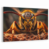 Wasp Close-Up Animal Wall Art - Wildlife Nature Photography Canvas Print