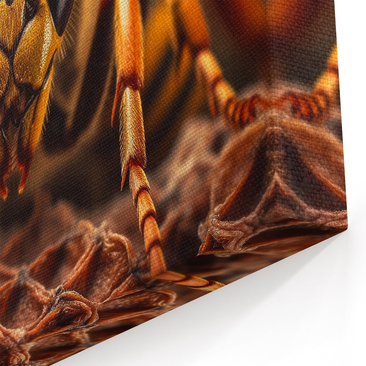 Wasp Close-Up Animal Wall Art - Wildlife Nature Photography Canvas Print