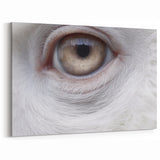 Intricate Animal Eye Wall Art - Nature Close-Up Photography Canvas Print
