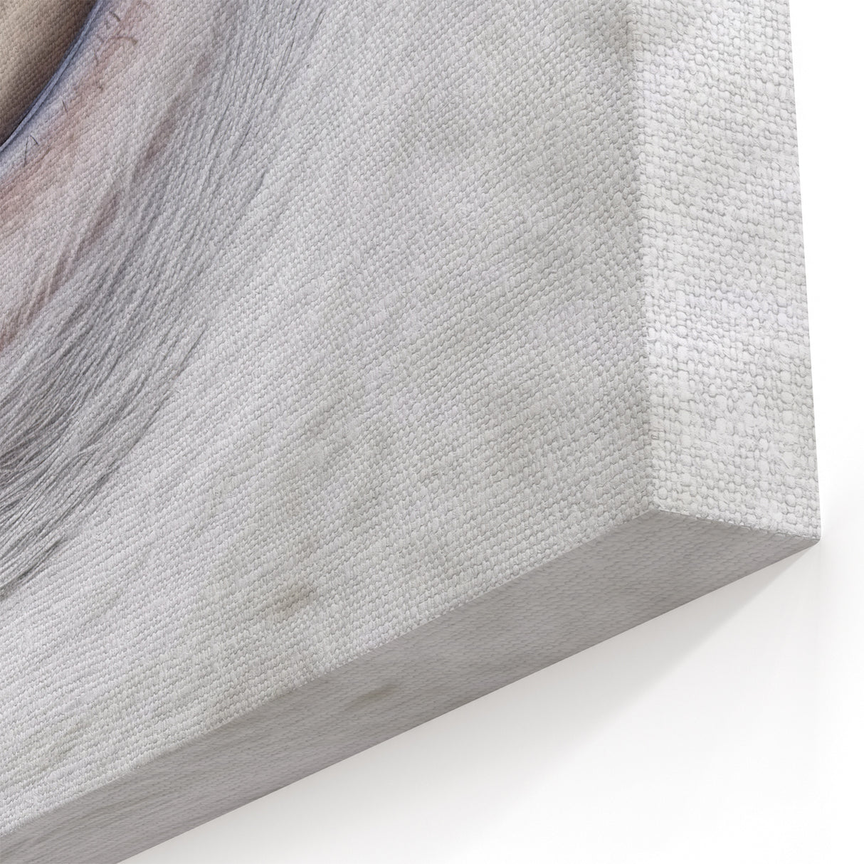 Intricate Animal Eye Wall Art - Nature Close-Up Photography Canvas Print