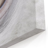 Intricate Animal Eye Wall Art - Nature Close-Up Photography Canvas Print