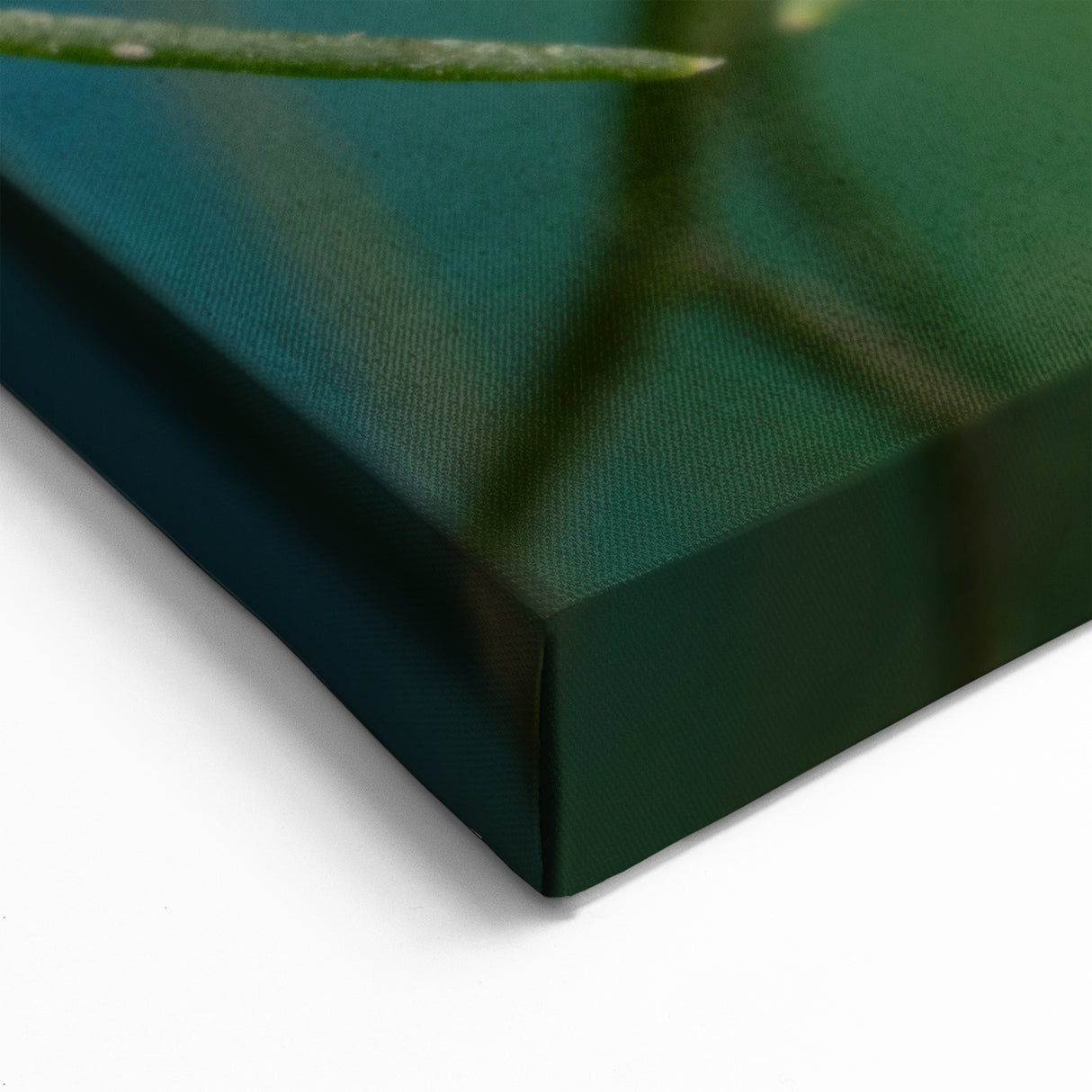 Detailed Caterpillar Wall Art - Nature Close-Up Wildlife Photography Print