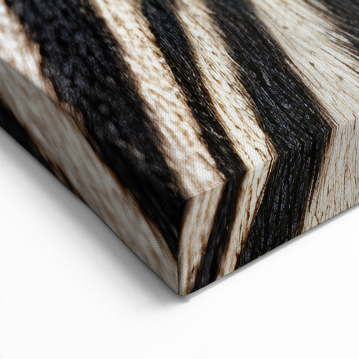 Zebra Eye Close-Up Animal Wall Art - Nature Wildlife Photography Print