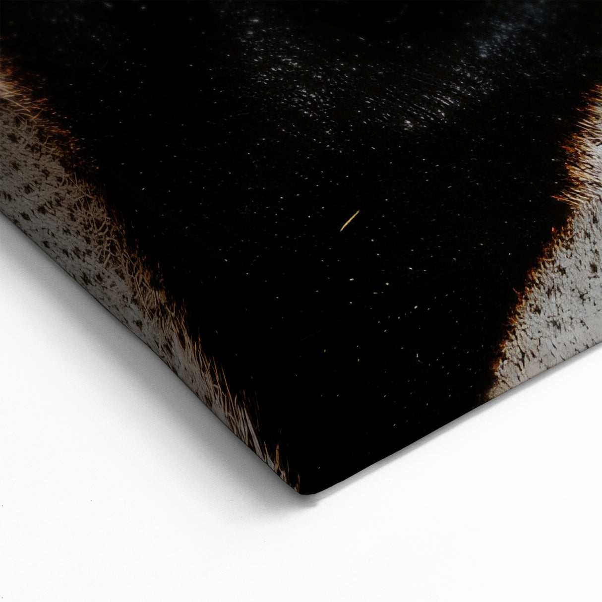 Stunning Zebra Eye Close-Up Wall Art - Wildlife Nature Photography Print