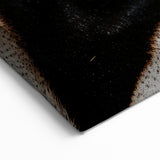 Stunning Zebra Eye Close-Up Wall Art - Wildlife Nature Photography Print