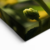 Beautiful Butterfly Wall Art - Nature Close-Up Wildlife Photography Print